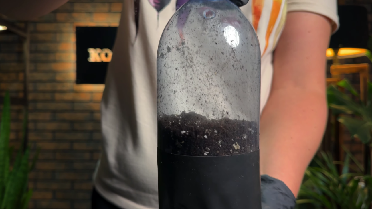 Як виростити розсаду перцю без пікіровки