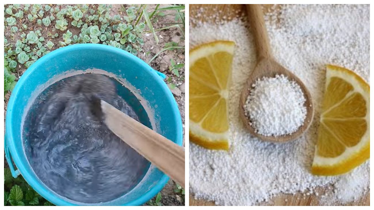 Городники розповіли, чим замінити оцет під час приготування зольного розчину