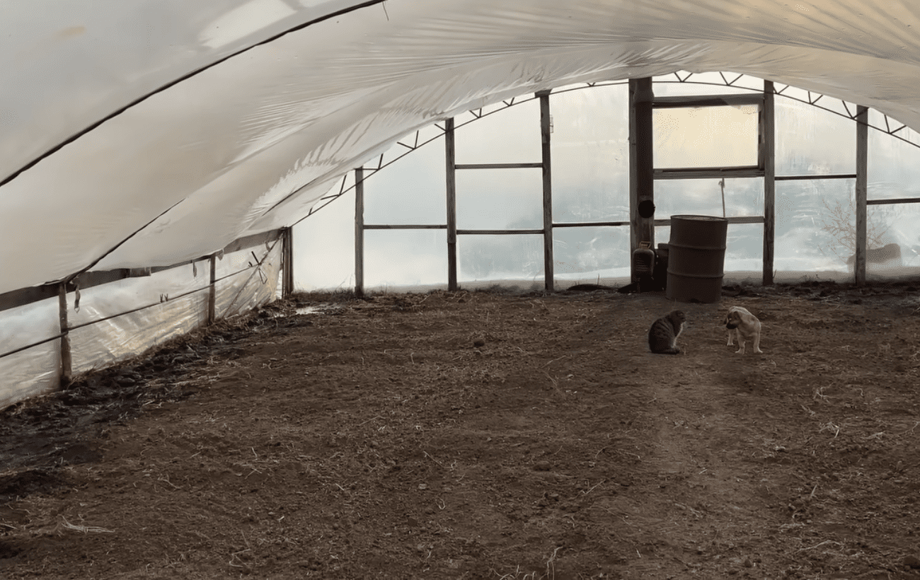 Городники розповіли, що потрібно зробити у березні на городі