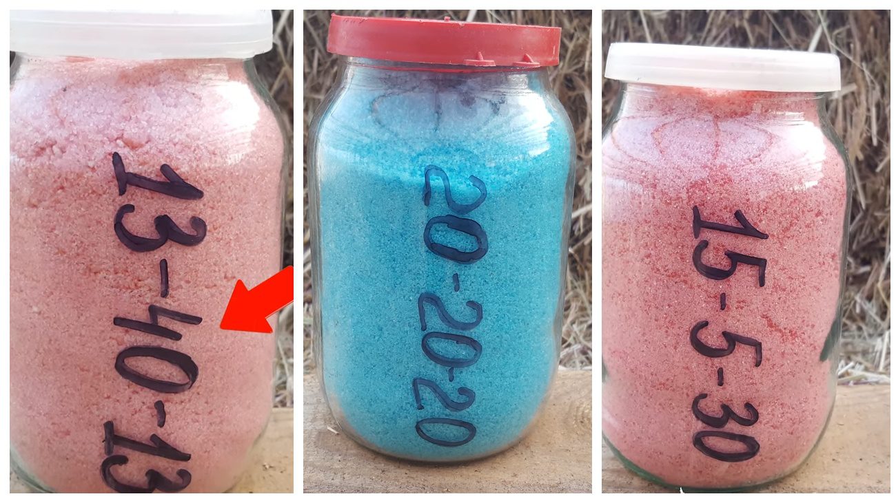 Городники назвали добрива, які використовують протягом сезону