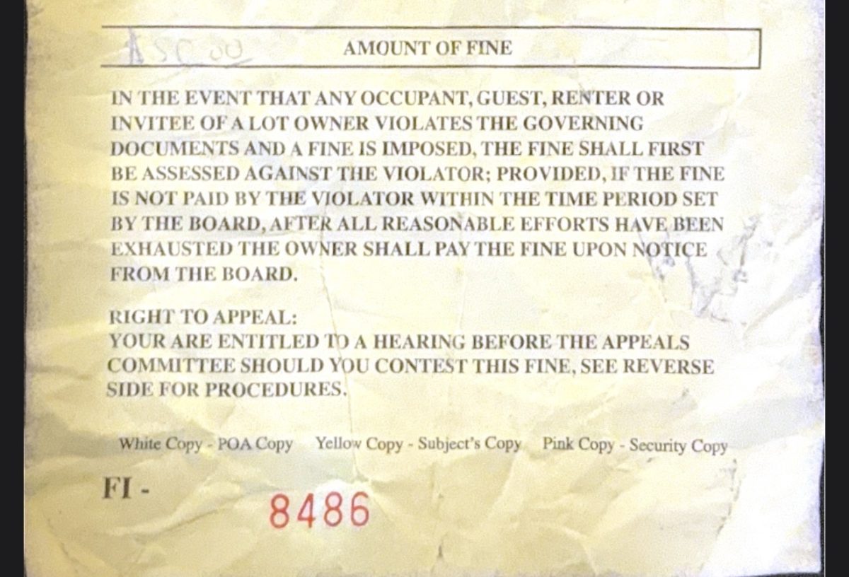 Курйоз чи свавілля: охорона котеджного містечка оштрафувала кур’єра Amazon за перевищення швидкості - фото 2