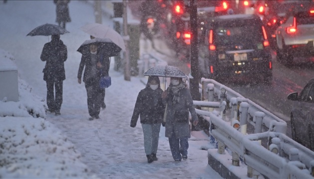 В Японії сильні снігопади вже забрали життя 46 людей