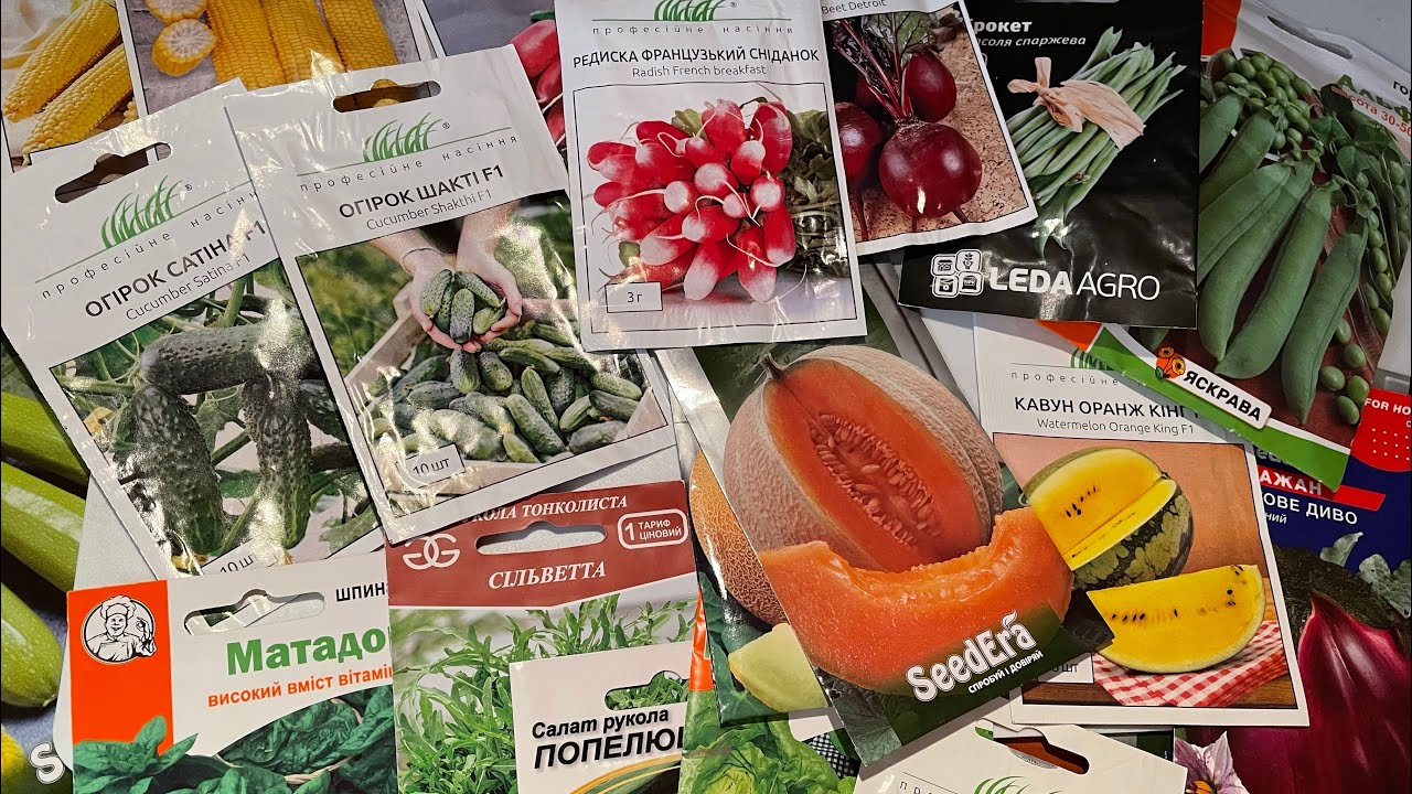 Агрономи розповіли, де краще купляти насіння на розсаду 