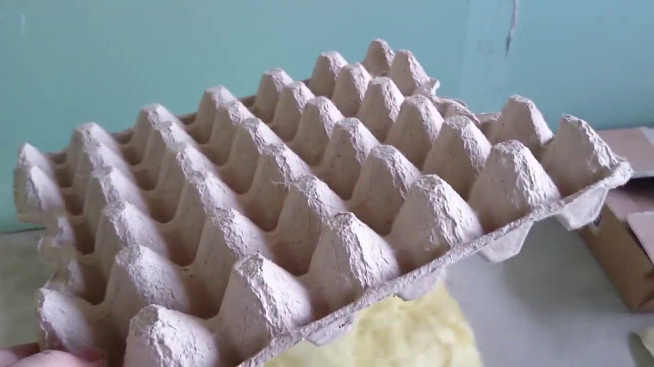 Городники розповіли, як використовувати лотки з-під яєць на городі