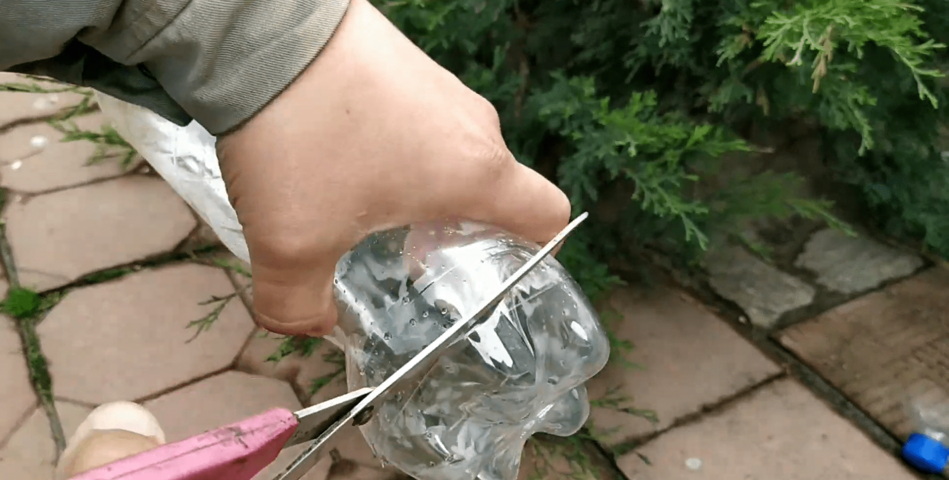 Експерти розповіли, як отримати рівний лист для теплиці із пластикових пляшок