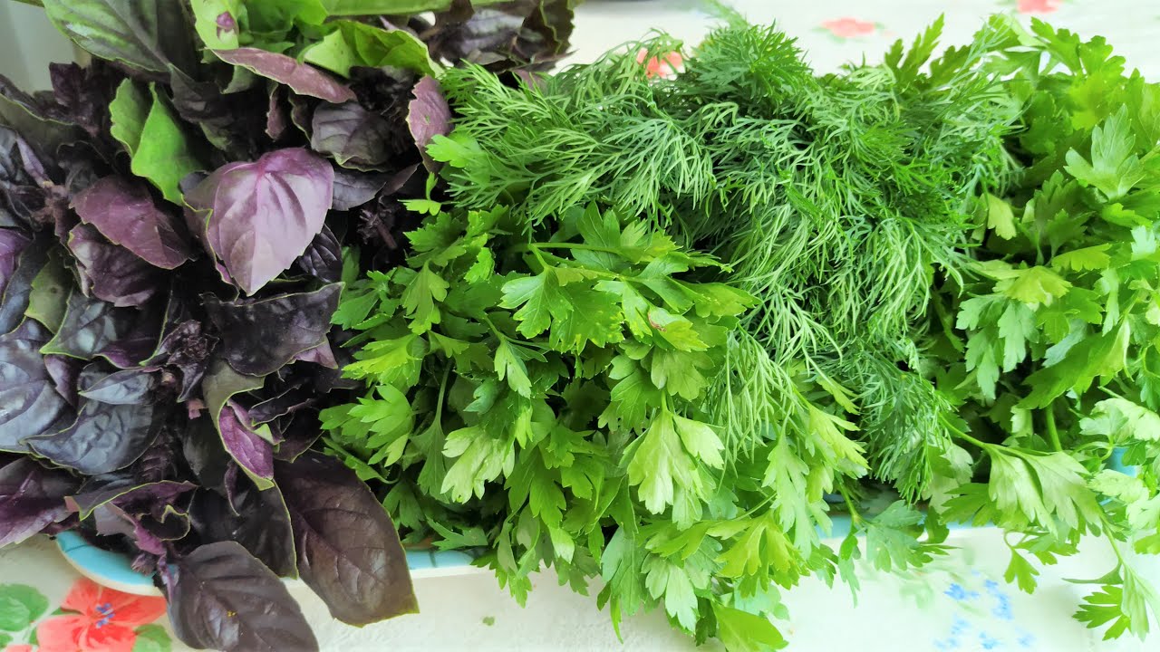 Господині розповіли, як виростити зелень вдома взимку