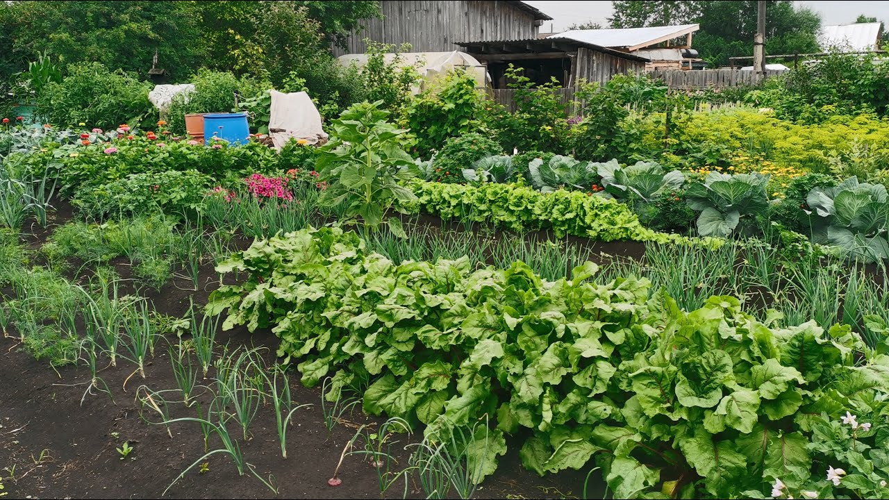 Садівники розповіли, що робити 2 березня на ділянці згідно з місячним календарем — поради