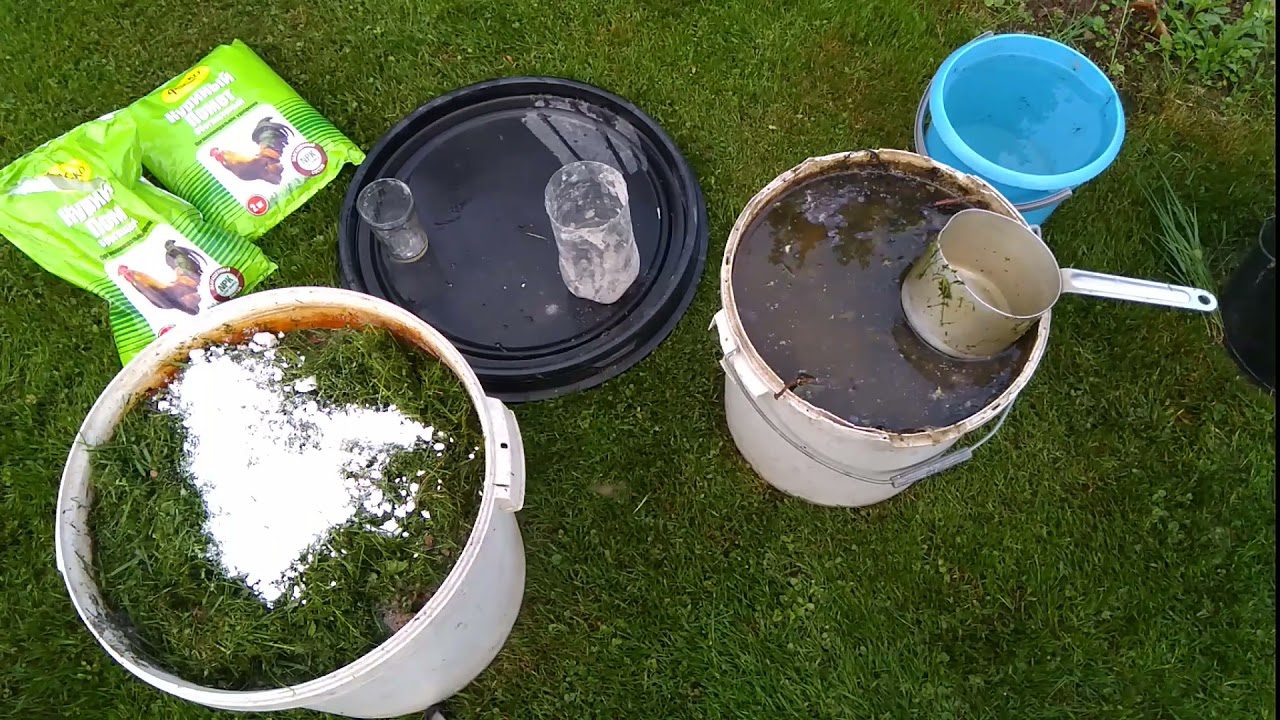 Агрономи розповіли, як приготувати дієве трав'яне підживлення для рясного врожаю