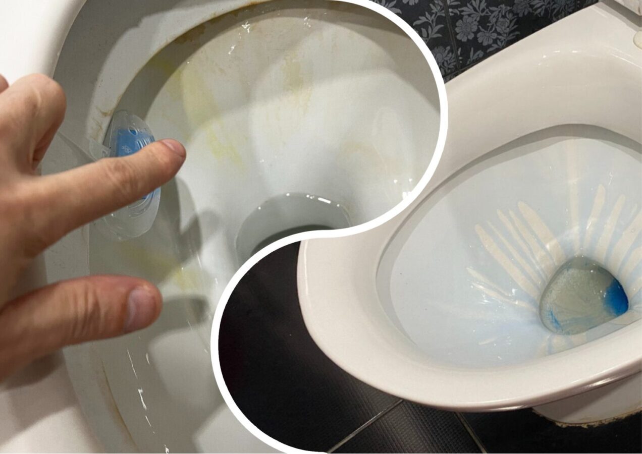Господині розповіли, як очистити і продезінфікувати унітаз без хлору 