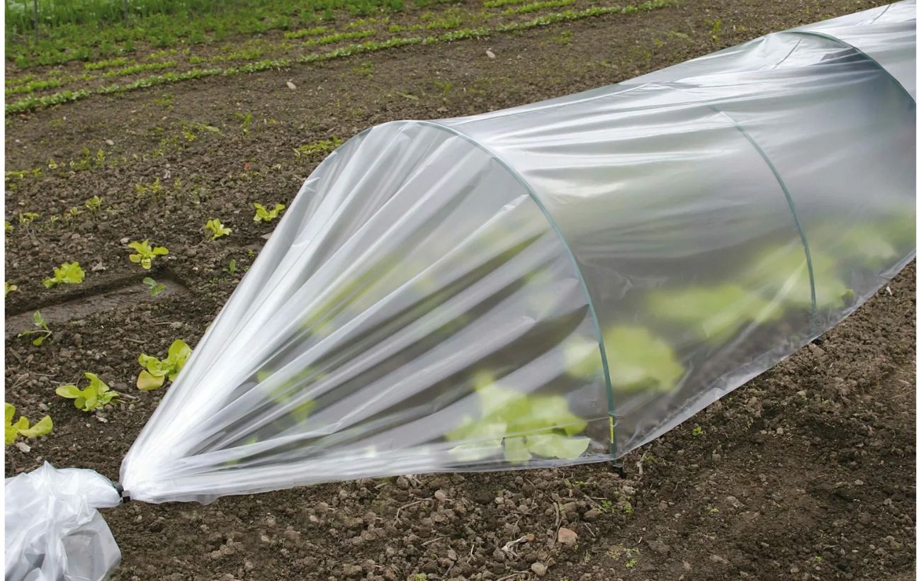 Експерти розповіли, чим можна накрити грядки замість плівки від бур'янів і для врожайності