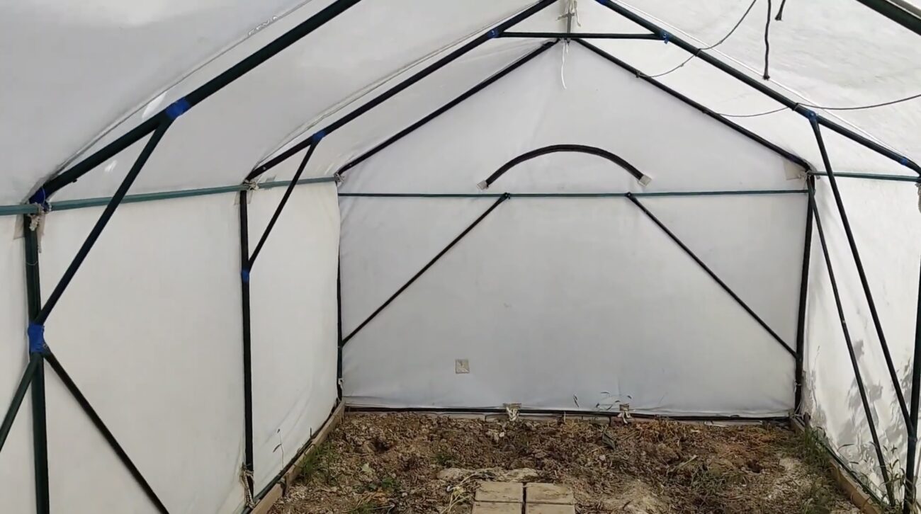 Городники розповіли, який матеріал обрати для укриття теплиці 