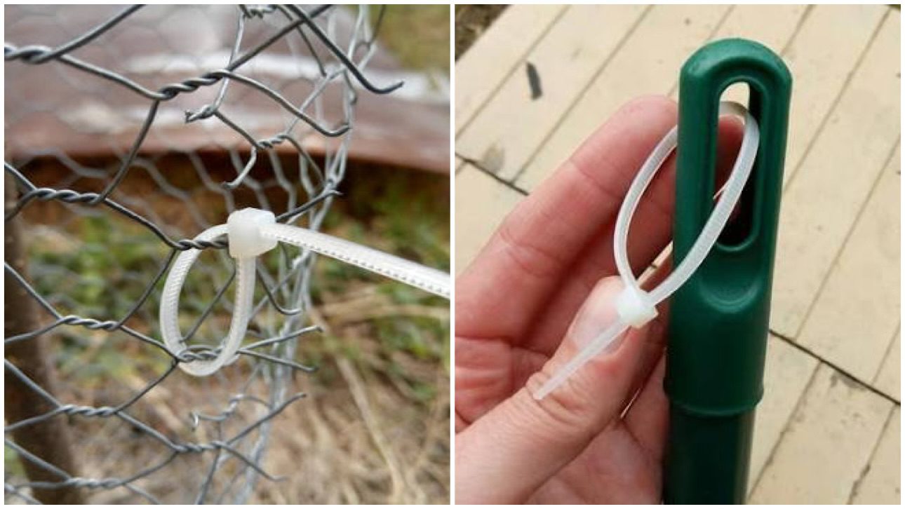 Городники розповіли, як використовувати пластикові стяжки на дачі 