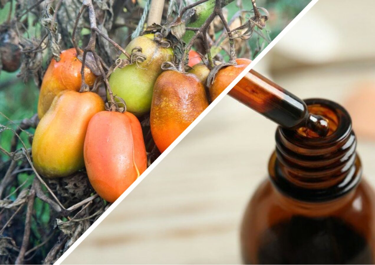 Городники поділилися рецептами лікування рослин йодом