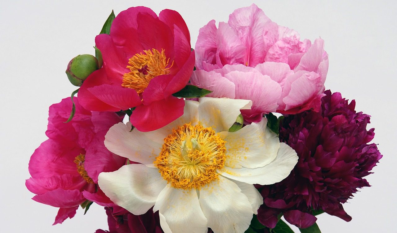 Експерти порадили простий лайфхак, який допоможе подовжити життя букетів у вазі вдома