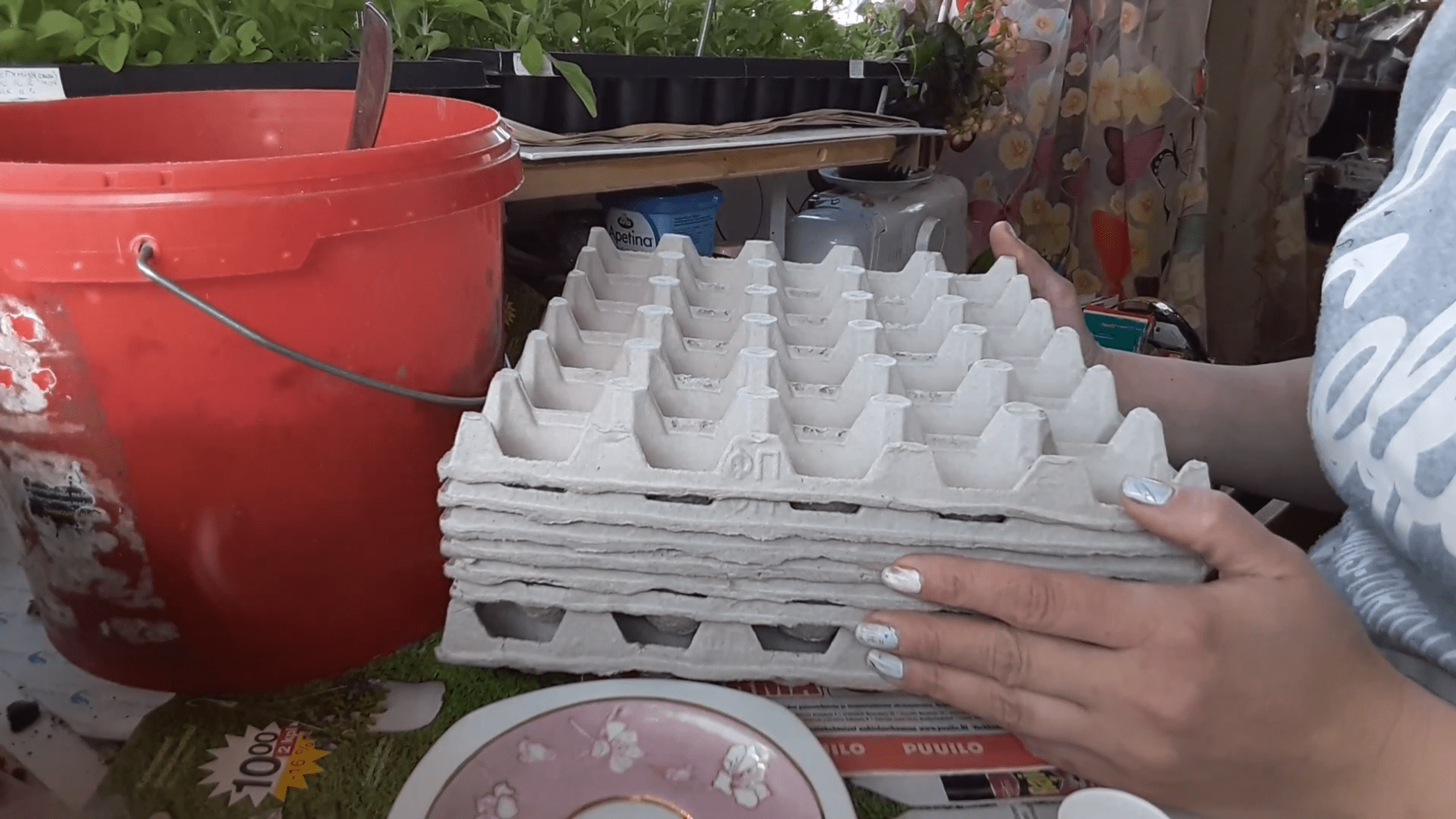 Городники розповіли про незвичайний спосіб посіву моркви