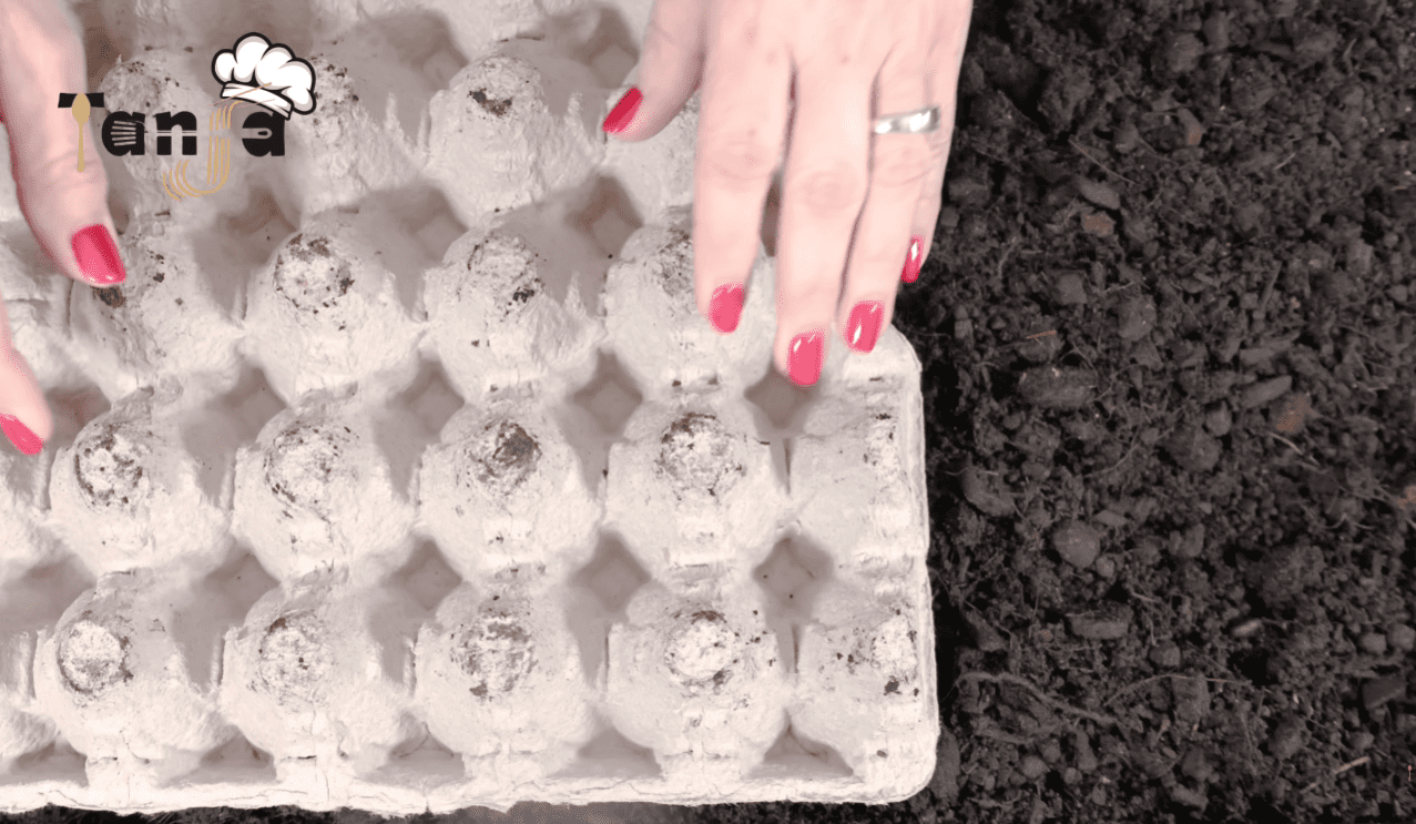 Городники розповіли, як можна садити дрібне насіння без нахилів