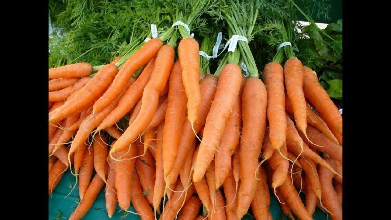 Агрономи назвали найкращі сорти моркви для підзимової посадки