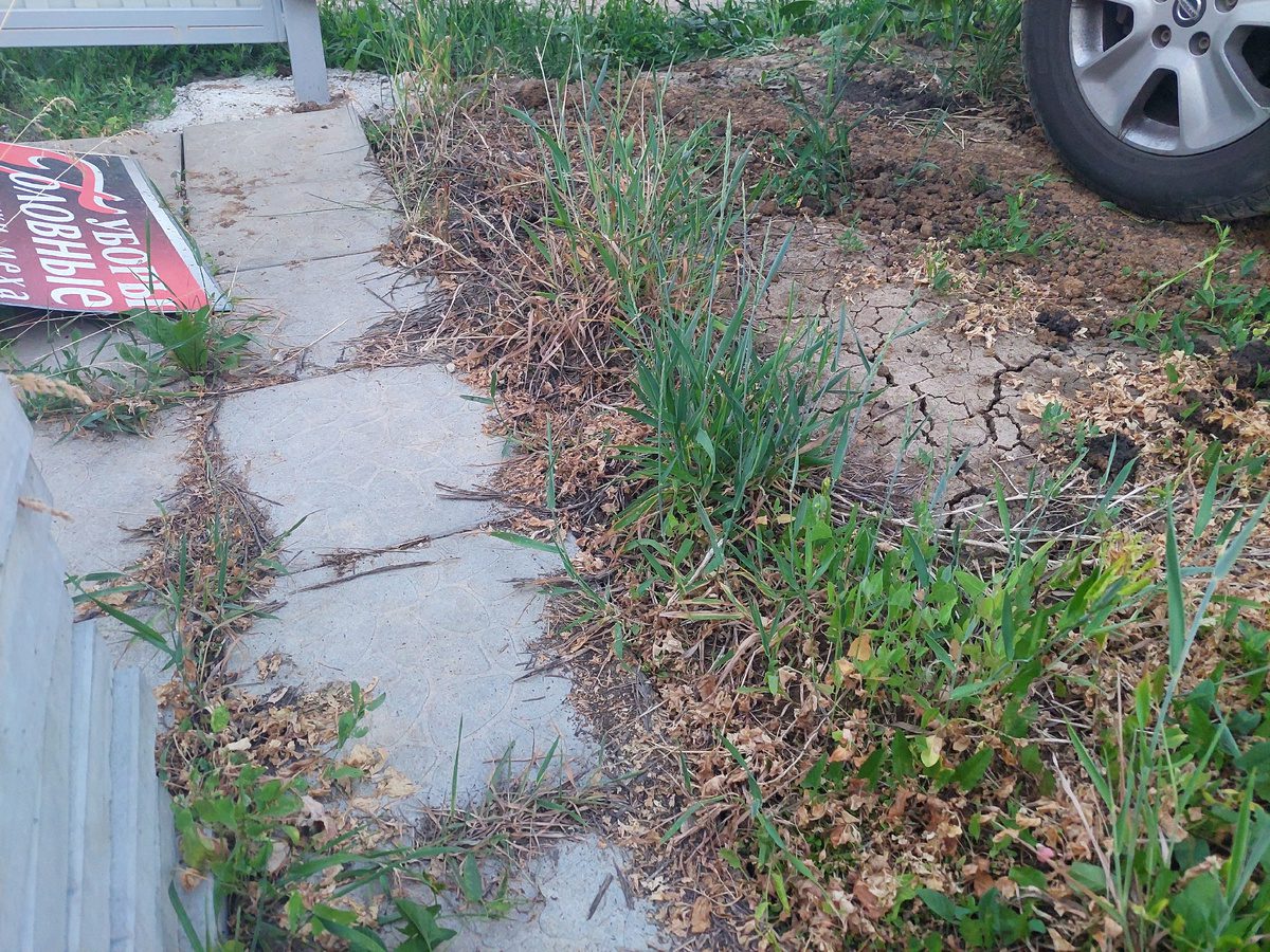 Експерти порадили перевірений спосіб очистити ділянку від бур'янів швидко і без особливого клопоту