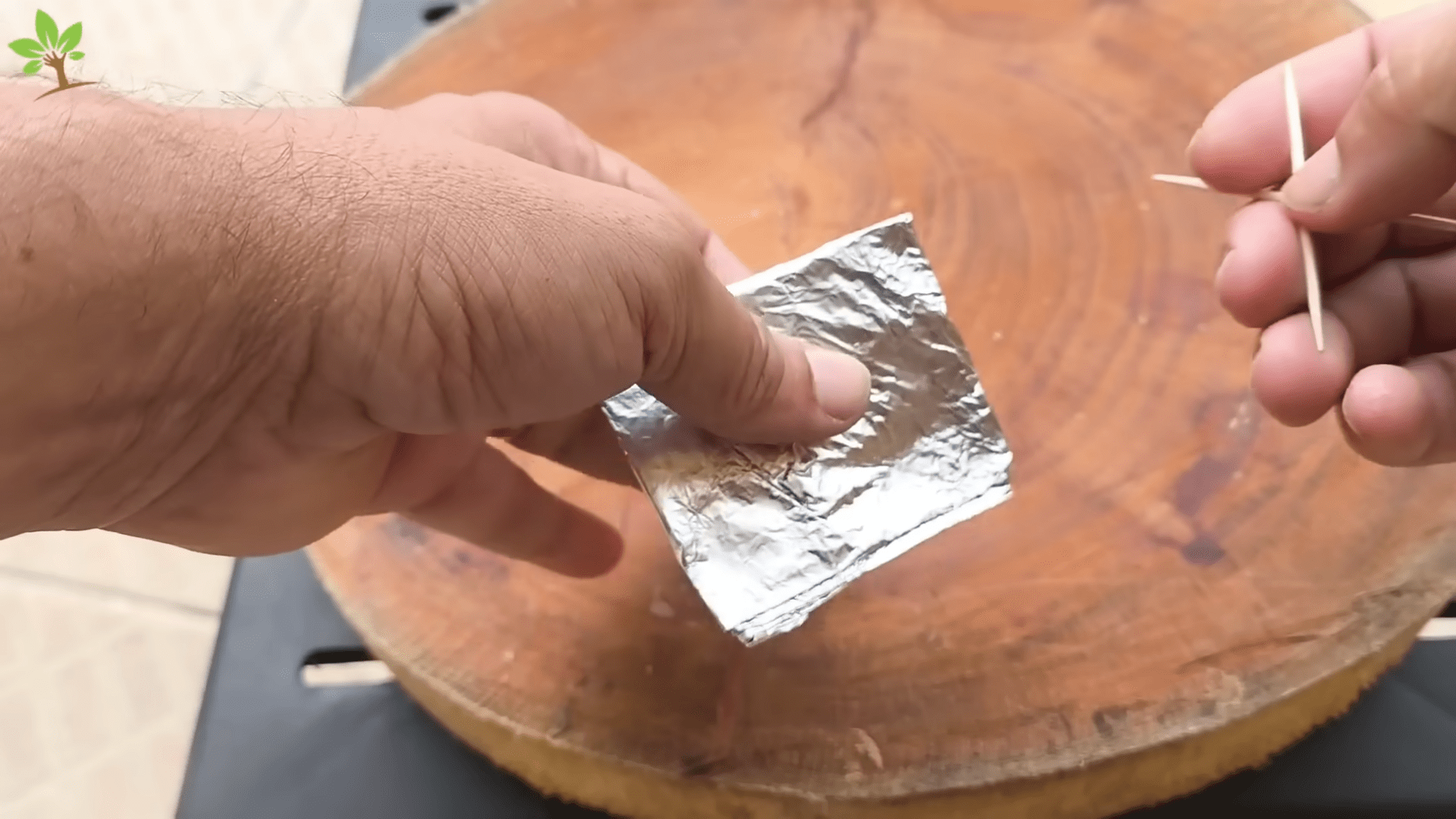 Садівники розповіли, як захистити рослини на дачі з допомогою фольги