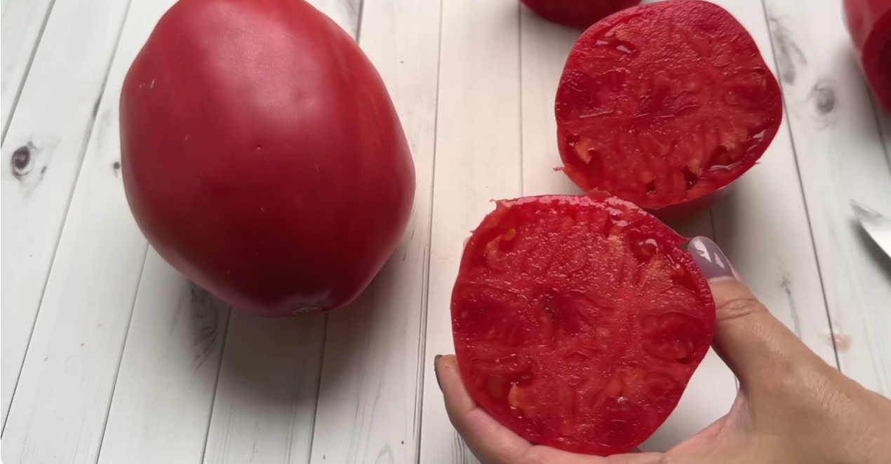 Садоводи розповіли, який сорт помідорів підкорив їх найбільше минулого року