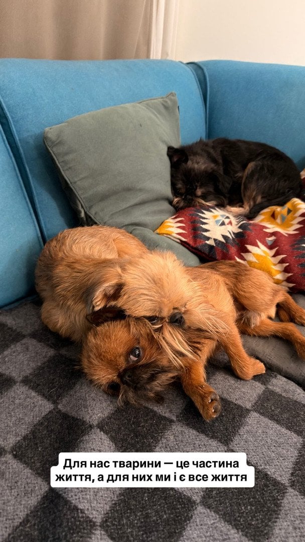 Instagram-історія Ектора Хіменеса-Браво / © instagram.com/hectorjimenezbravo