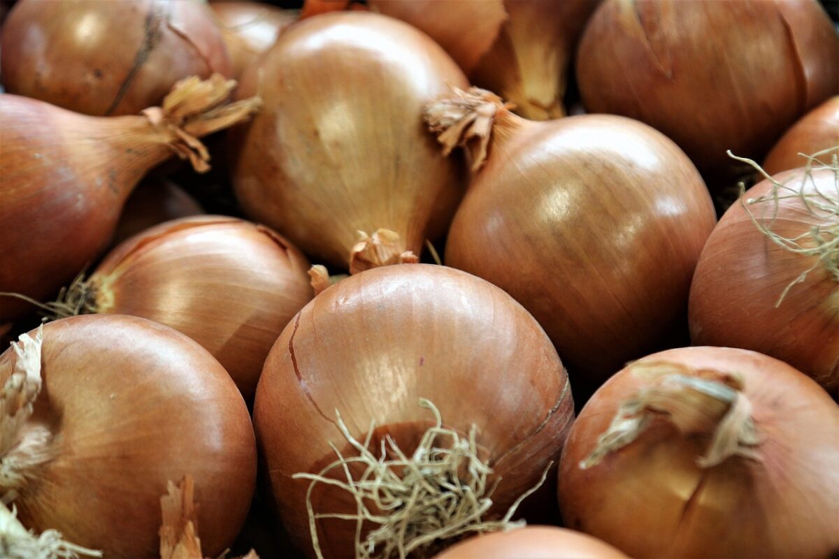 Городники розповіли, який сорт цибулі обрати для шаленого врожаю
