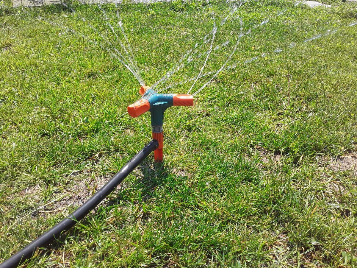 Експерти порадили, як зі старого шлангу зробити зручну систему поливу для росту рослин