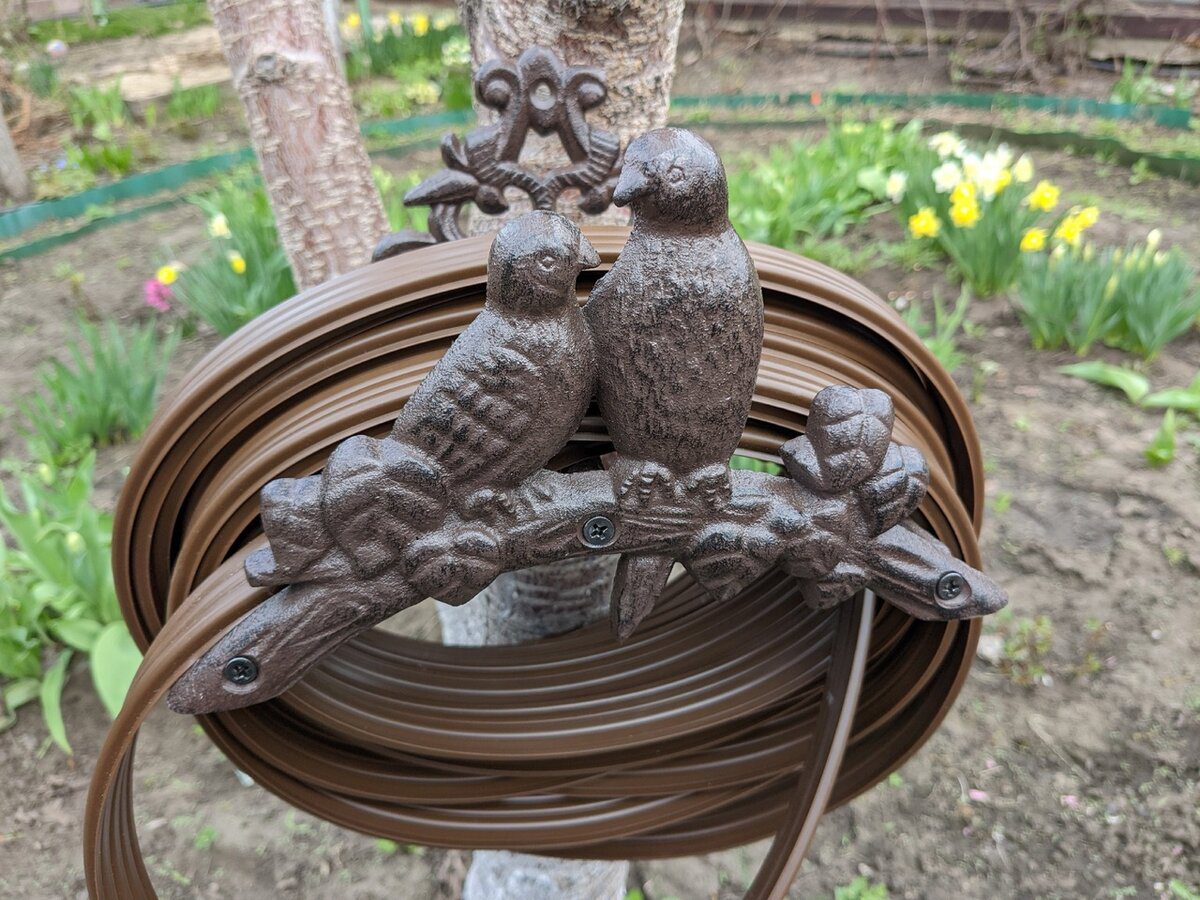 Експерти порадили, як зі старого шлангу зробити зручну систему поливу для росту рослин