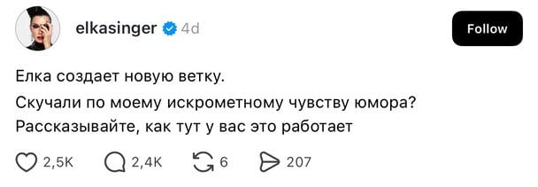 Перший допис Йолки / © instagram.com/elkasinger