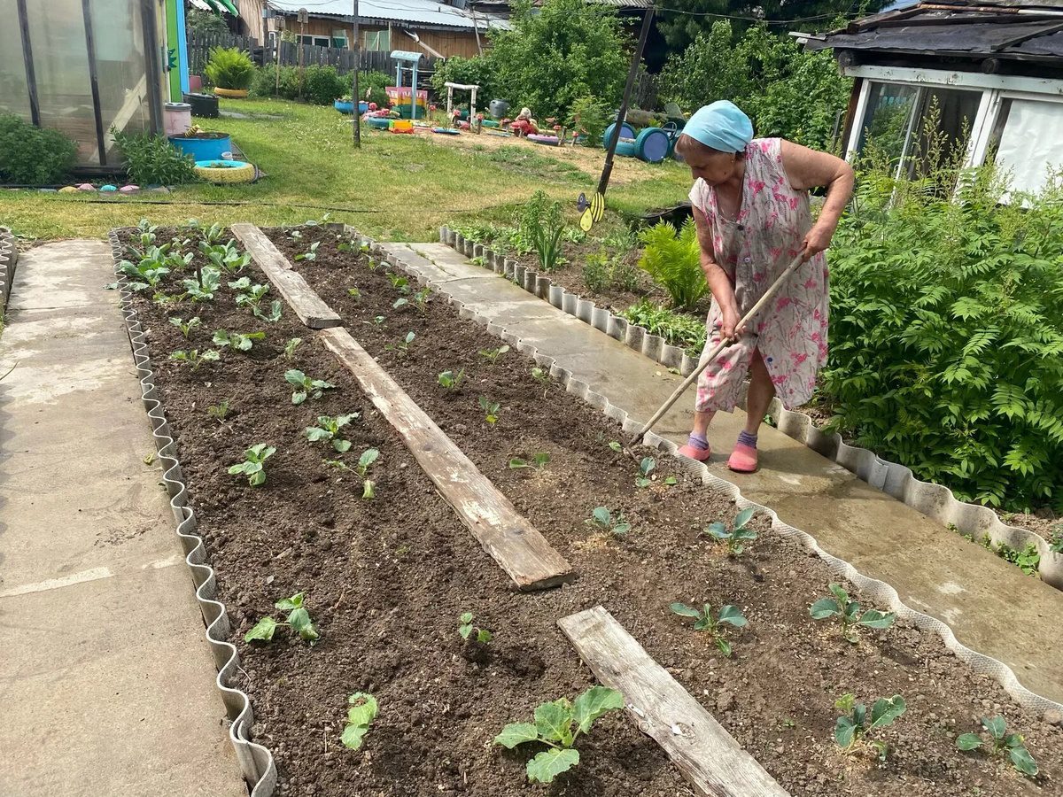 Городники розповіли, чим укрити огірки без витрат на агроволокно