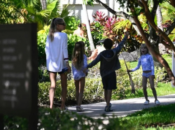 8270_image_9.png (511.85 Kb)