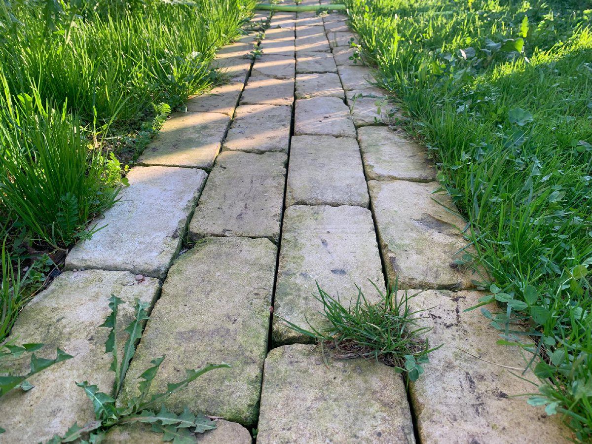 Господині розповіли, як без роботи руками прибрати бурʼяни між плиткою Господині розповіли, як без роботи руками прибрати бурʼяни між плиткою