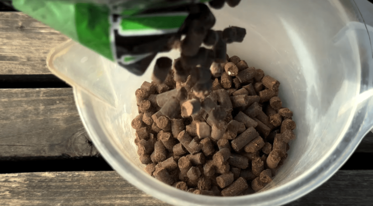 Садівники розповіли, що потрібно зробити з ожиною навесні Фото: YouTube Корисні Корисності