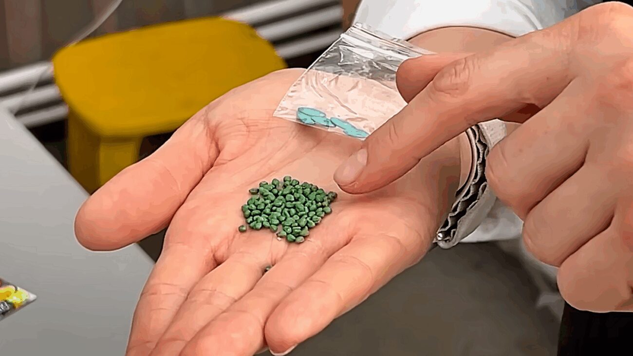 Городники розповіли, коли сіяти огірки у відкритий ґрунт. Фото: скриншот з відео