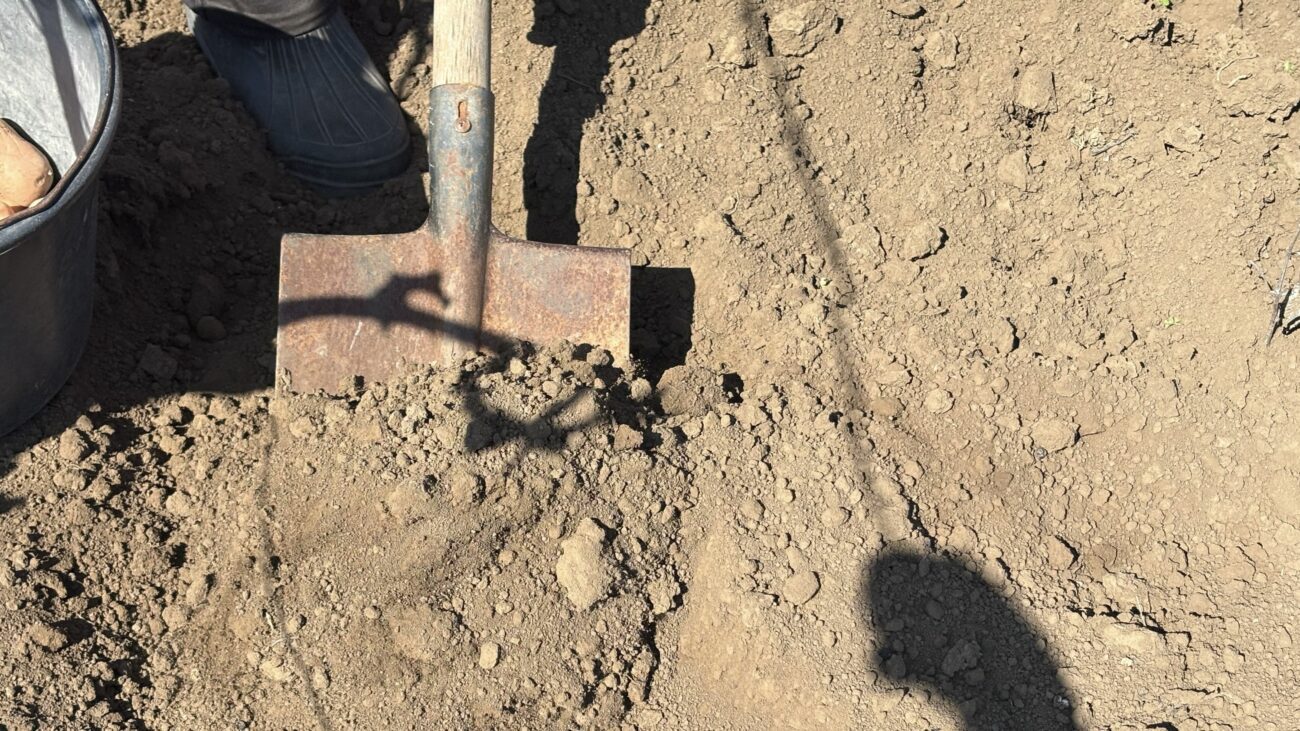 Фото: Добрі новини 