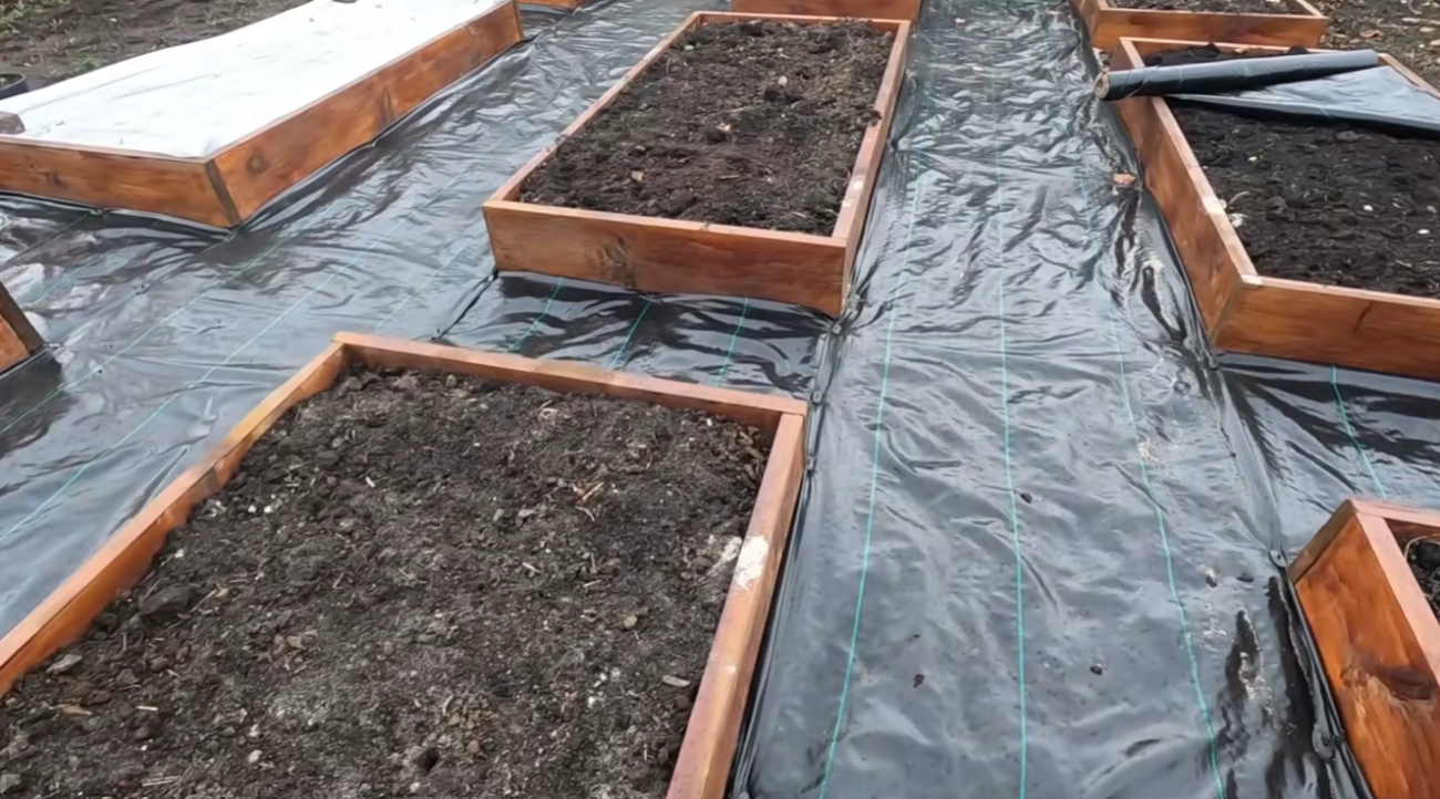 Як швидко, дешево та без бруду зробити найкращі доріжки для городу Фото: YouTube Наша дача