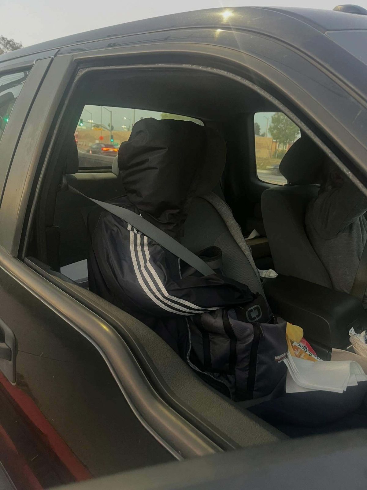 Хитрий трюк із курткою: як водій у Каліфорнії намагався обдурити поліцію на смузі Carpool - фото 4