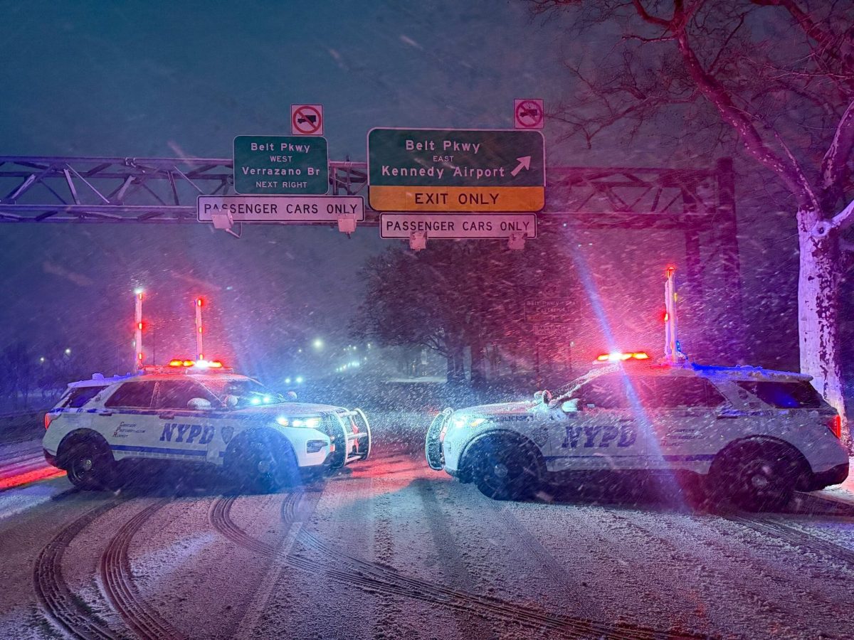 Менше поліції, але більше штрафів: як камери змінили правила гри на дорогах Нью-Йорка - фото 1