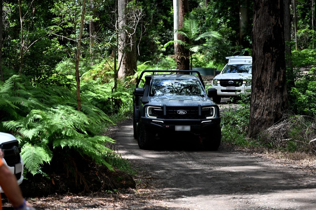 Ford готує глобальну відповідь китайським брендам: гендиректор анонсував рішення на мільярди доларів - фото 2