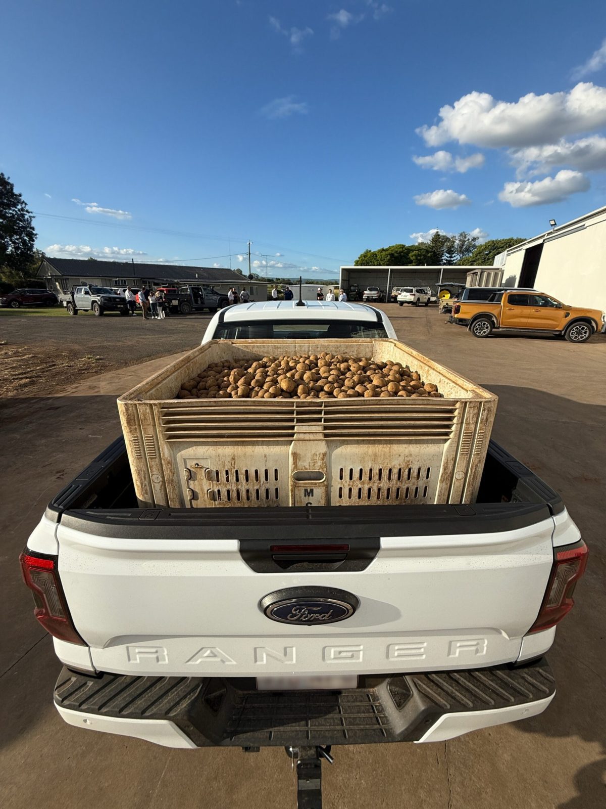 Ford готує глобальну відповідь китайським брендам: гендиректор анонсував рішення на мільярди доларів - фото 5