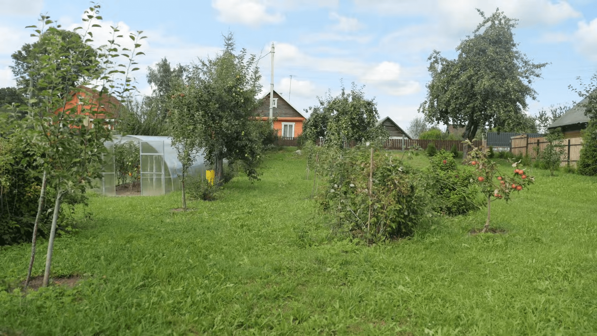 Експерти розповіли про догляд за плодовим садом після зими