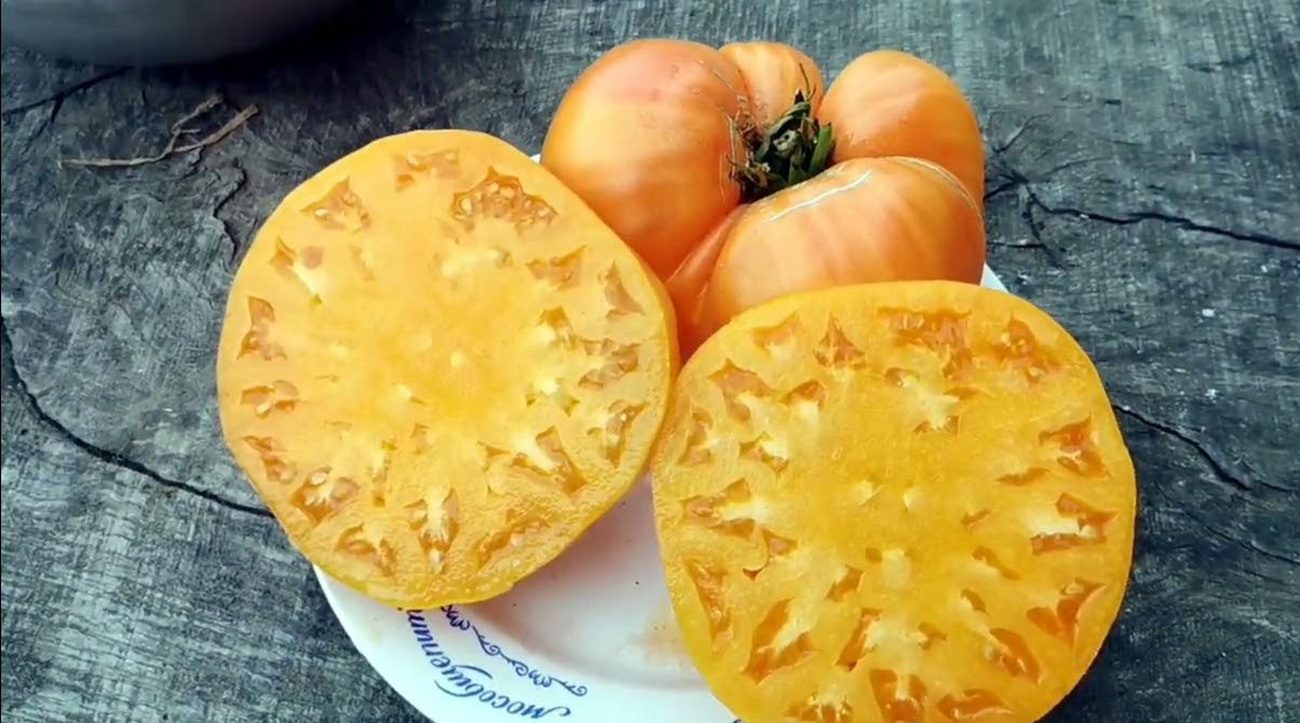 Агрономи назвали сорт томатів, який завʼязує велику кількість плодів у затінку