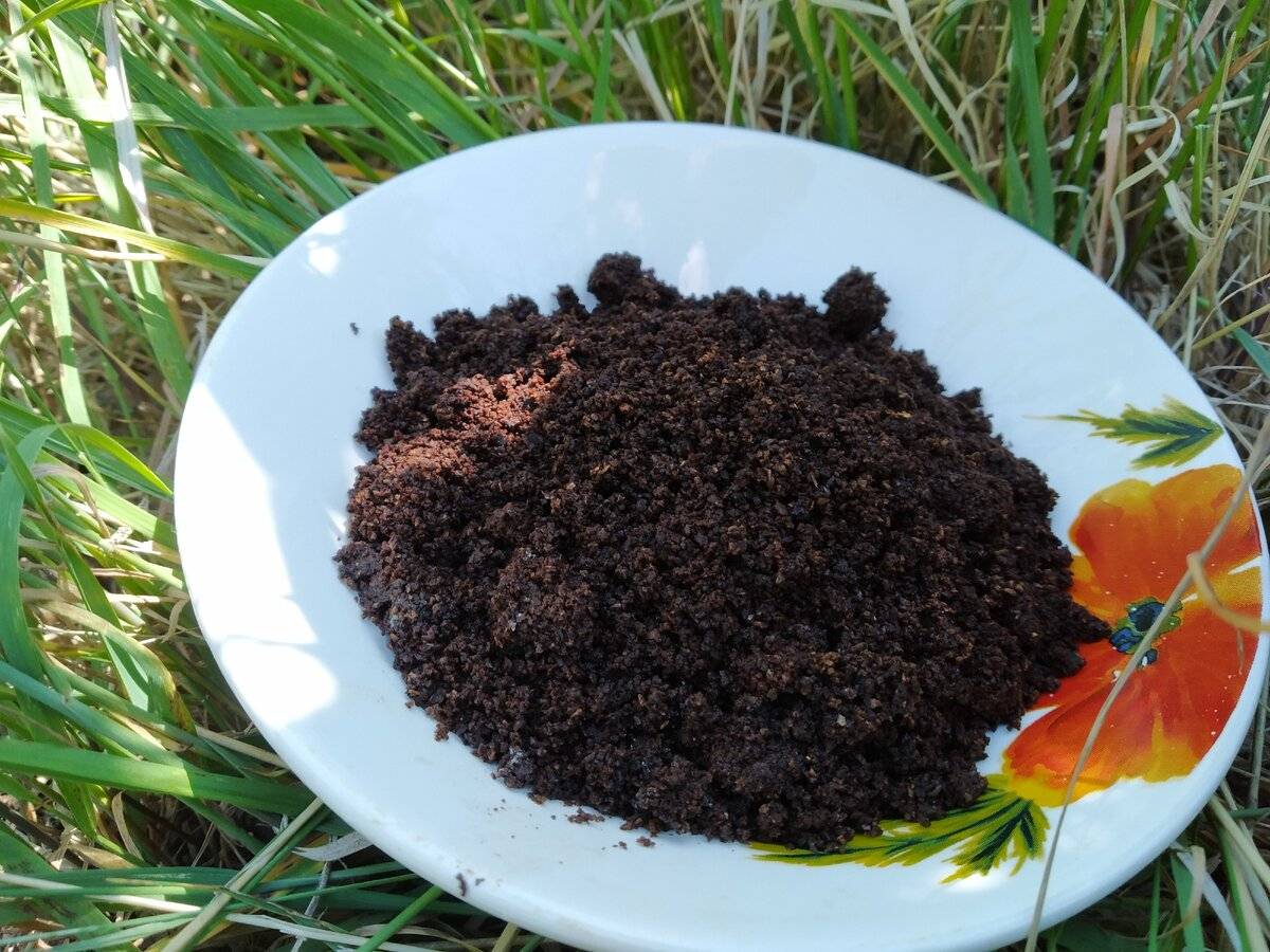 Городники розповіли, яке підживлення використовувати для покращення врожайності рослин