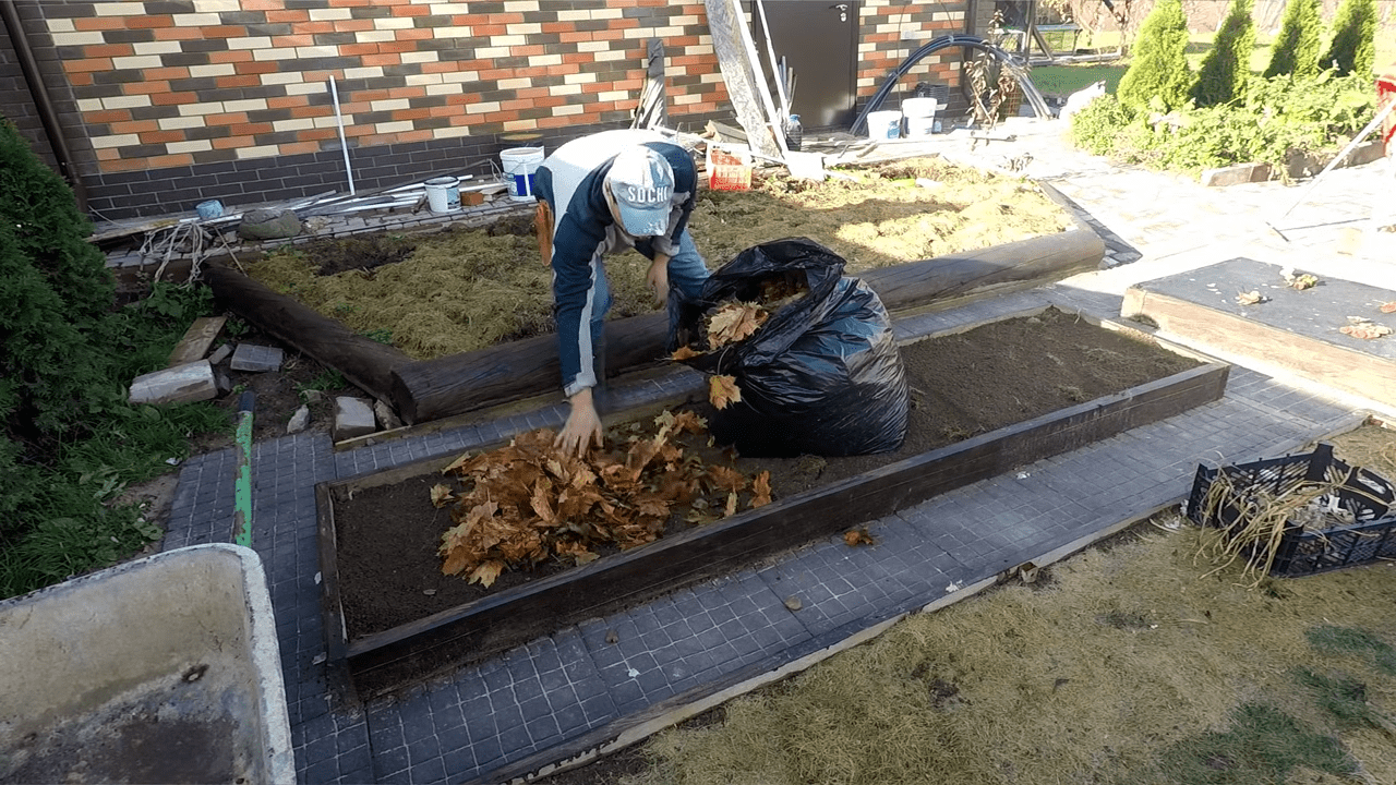 Городники розповіли, як доглядати за озимим часником навесні