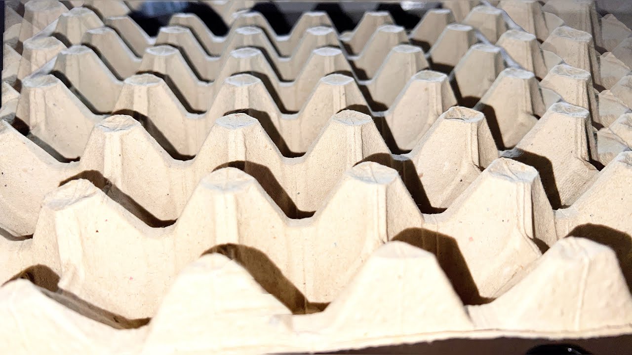 Городники розповіли про використання яєчних лотків на городі