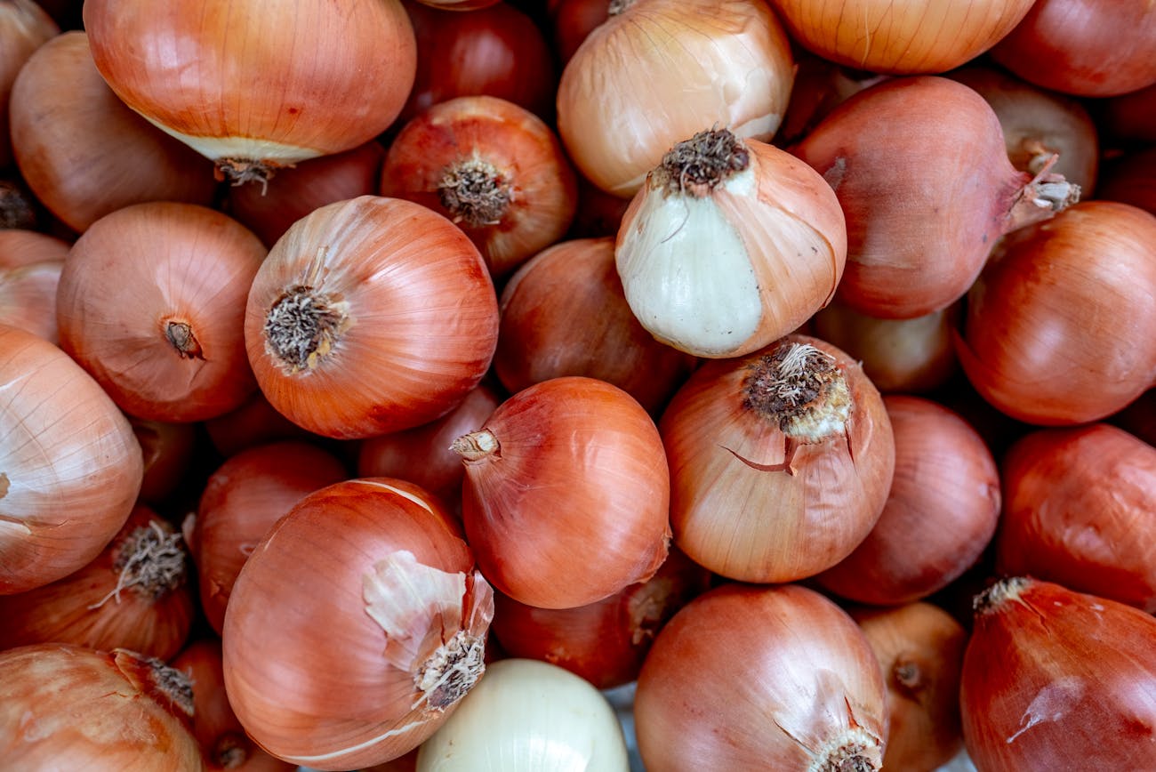 Городники розповіли особливості вирощування цибулі у цьому сезоні. Фото: Pexels