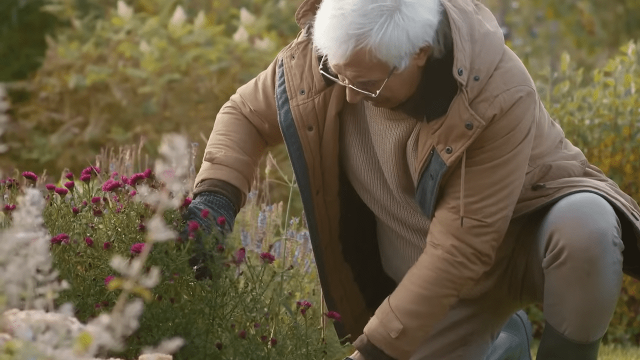Садівники назвали небезпечні для здоров'я рослини