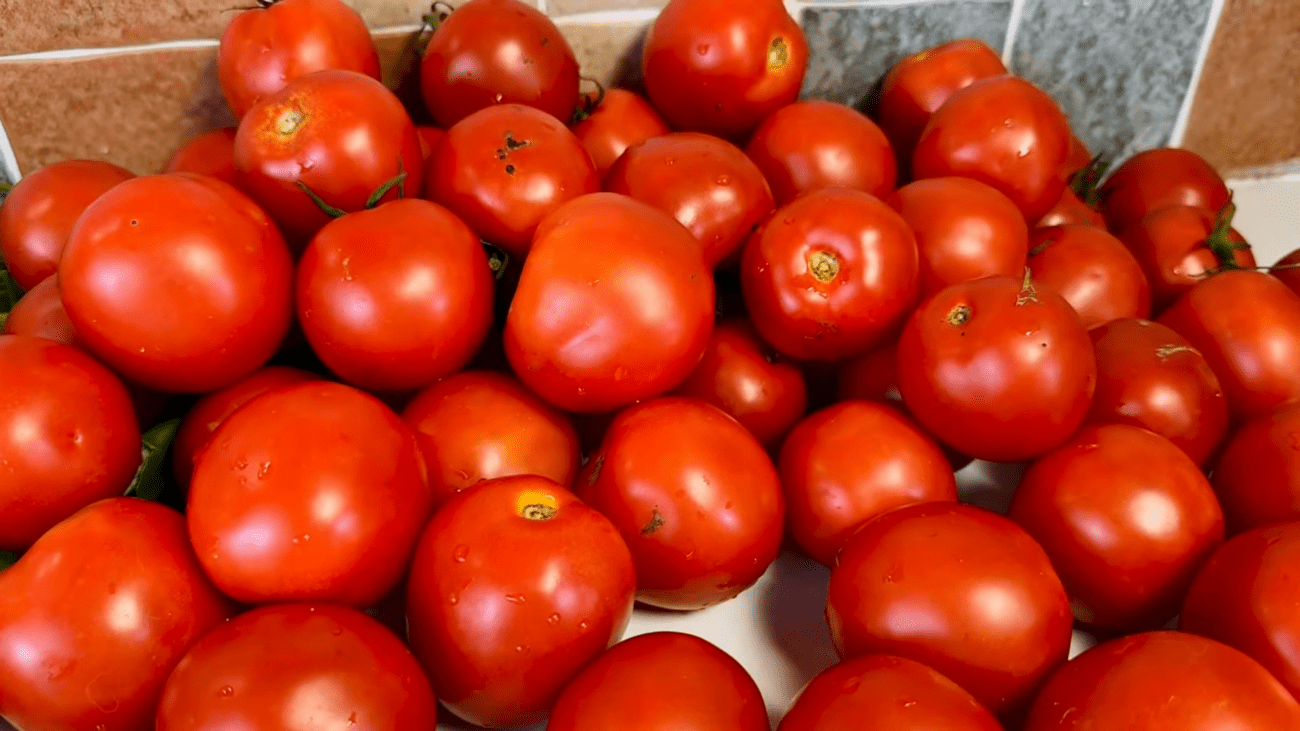 Експерти порадили, яке добриво дати томатам, аби вони нарощували плоди. Фото: YouTube Паша Борщ