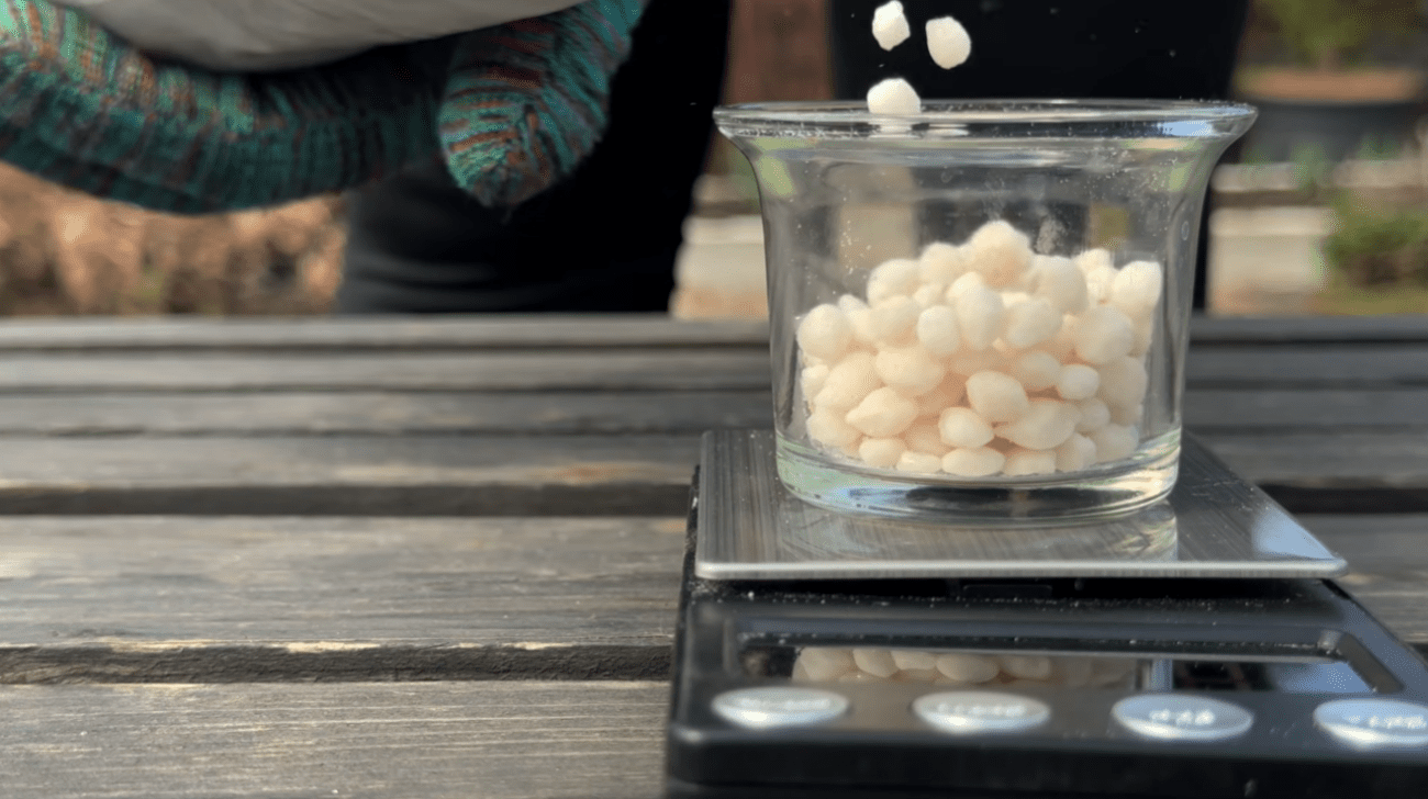 Весняний догляд за гортензією - обрізка і підживлення для пишного цвітіння Фото: YouTube Корисні Корисності