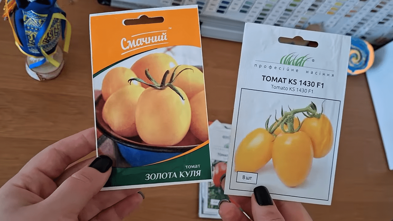 Городники розповіли, які томати варто посадити в 2026 році Фото: YouTube/З любов'ю до землі